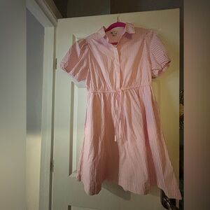 J. Crew Pink and White Striped Women’s Dress
